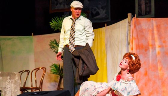 Спектакль «Любовь и голуби»