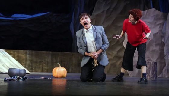 Спектакль «Вождь краснокожих»