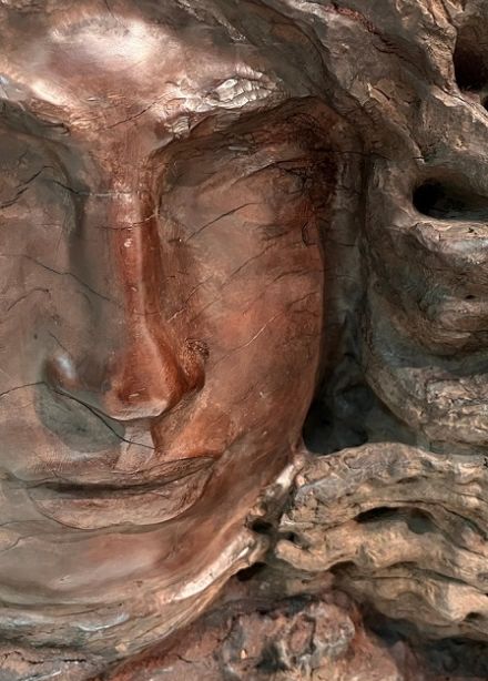 Ожившее дерево. Лекция