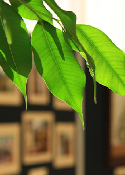 Путешествуем по музеям Мордовии. Лекция