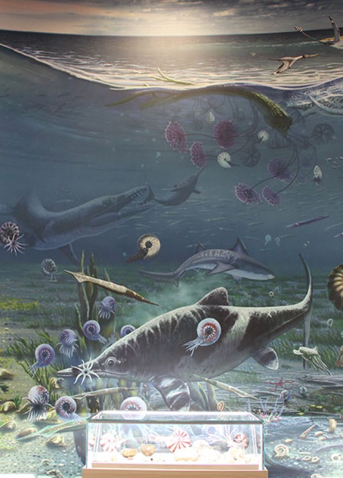 Путешествие в глубь времён. Квест