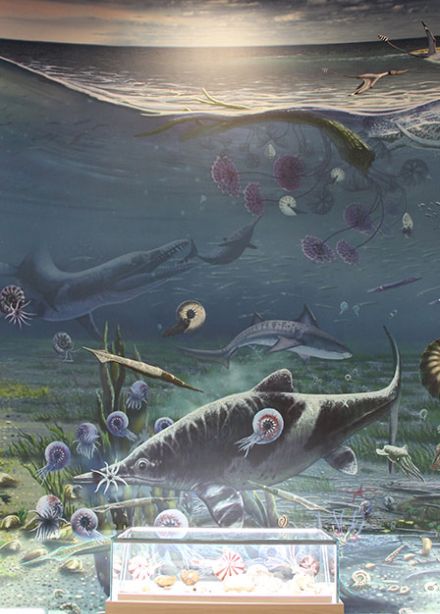 Путешествие в глубь времён. Квест