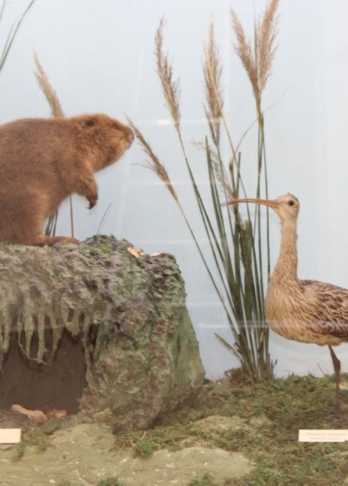 Исчезнувшие: Лекция