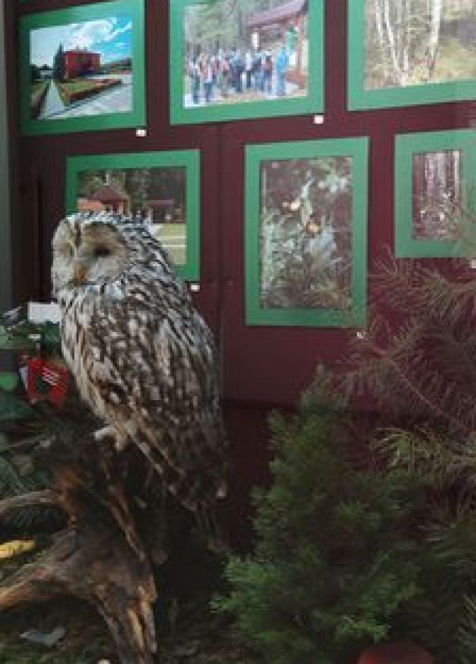 На службе у природы: Выставка