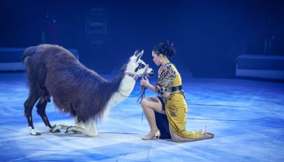 Цирк-шапито «Орион». Дикий карнавал